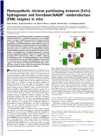 Photosynthetic Electron Partitioning Between [Fefe]- Hydrogenase and Ferredoxin:Nadpþ-Oxidoreductase (FNR) Enzymes in Vitro