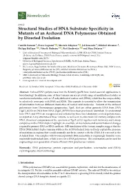 Structural Studies of HNA Substrate Specificity in Mutants of An