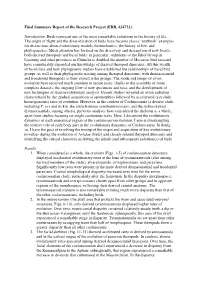 Final Summary Report of the Research Project (ERB, 624732)