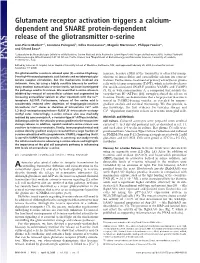 Glutamate Receptor Activation Triggers a Calcium- Dependent and SNARE Protein-Dependent Release of the Gliotransmitter D-Serine
