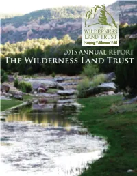 Annual Report Highlights This Year’S New Projects