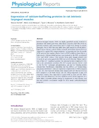 Expression of Calciumbuffering Proteins in Rat Intrinsic Laryngeal