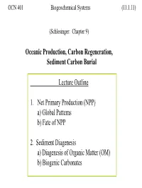 NPP) A) Global Patterns B) Fate of NPP