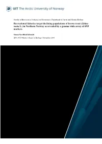 Recreational Fisheries Target Declining Populations of Brown Trout (Salmo Trutta L.) in Northern Norway As Revealed by a Genome Wide Array of SNP Markers