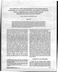 The Complete Larval Development in The