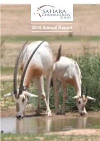 2019 Annual Report OUR CEO’S STATEMENT TEAMWORK: the ESSENTIAL INGREDIENT