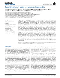 Quantification of Water in Hydrous Ringwoodite