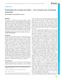 How Nuclear Pore Complexes Assemble Marion Weberruss and Wolfram Antonin*