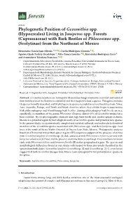 Phylogenetic Position of Geosmithia Spp. (Hypocreales) Living in Juniperus Spp