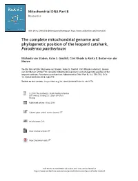 The Complete Mitochondrial Genome and Phylogenetic Position of the Leopard Catshark, Poroderma Pantherinum