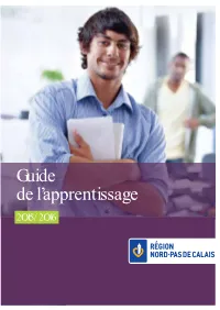 Guide De L'apprentissage
