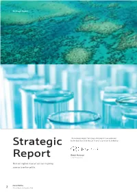 Strategic Report