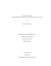 Haydn's Call for Peace: the Agnus Dei Movements of Missa in Tempore