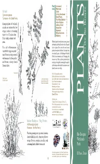 PLANTS of the Rio Bosque Year-To-Year Variation in Some Changes Are Due to to Year, for a Variety of Reasons
