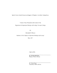 Spatial Vision in Band-Winged Grasshoppers (Orthoptera: Acrididae: Oedipodinae)