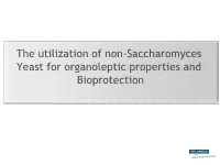 The Utilization of Non-Saccharomyces Yeast for Organoleptic Properties
