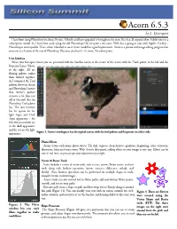 Acorn 6.5.3 by L