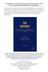 AGC Kinases in Mtor Signaling, in Mike Hall and Fuyuhiko Tamanoi: the Enzymes, Vol