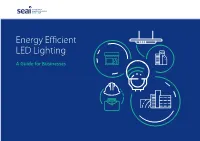 Energy Efficient LED Lighting: a Guide for Businesses