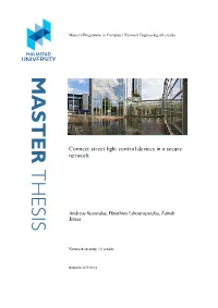 Master Thesis