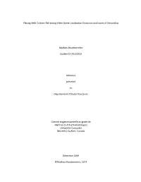 Reframing Video Game Localization Discourse and Issues of Censorship
