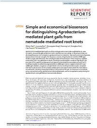 Simple and Economical Biosensors for Distinguishing Agrobacterium