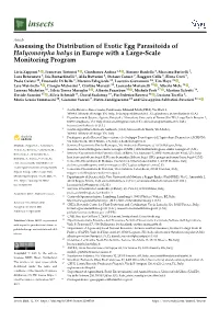 Assessing the Distribution of Exotic Egg Parasitoids of Halyomorpha Halys in Europe with a Large-Scale Monitoring Program