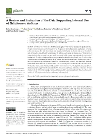 A Review and Evaluation of the Data Supporting Internal Use of Helichrysum Italicum
