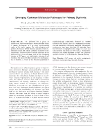 Emerging Common Molecular Pathways for Primary Dystonia