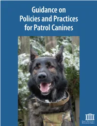 Guidance on Policies and Practices for Patrol Canines