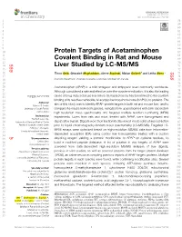 Protein Targets of Acetaminophen Covalent Binding in Rat and Mouse