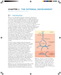 The External Environment