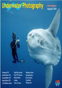 Underwater Photography