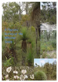 A Floristic Survey of the Whicher Scarp