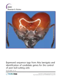 Expressed Sequence Tags from Atta Laevigata and Identification of Candidate Genes for the Control of Pest Leaf-Cutting Ants Rodovalho Et Al
