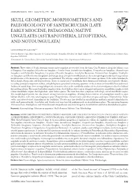 Native Ungulates (Astrapotheria, Litopterna, and Notoungulata)