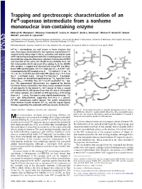 Trapping and Spectroscopic Characterization of an Fe -Superoxo