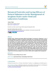 Botanical Pesticides and Luring Efficacy of Natural Substances in the Management of Sorghum Chafer Under Field and Laboratory Conditions