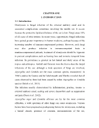 Chapter One 1