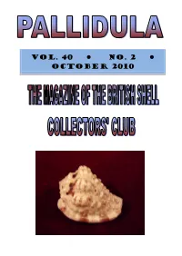 Shell Show 2010