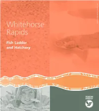 Whitehorse Rapids