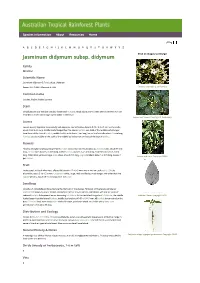 Jasminum Didymum Subsp. Didymum Click on Images to Enlarge
