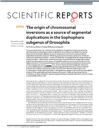 The Origin of Chromosomal Inversions As a Source of Segmental