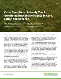 Visual Symptoms: a Handy Tool in Identifying Nutrient Deficiency in Corn, Cotton and Soybean