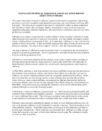 Executive Summary on Sulfolane Research Report (PDF)