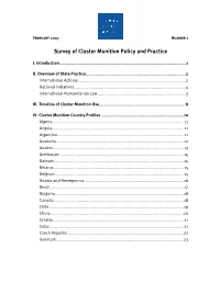 Survey of Cluster Munition Policy and Practice
