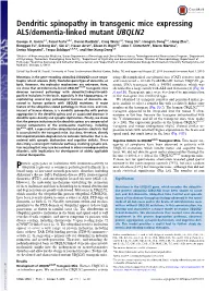 Dendritic Spinopathy in Transgenic Mice Expressing ALS/Dementia-Linked Mutant UBQLN2