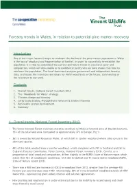 Forestry Trends in Wales, in Relation to Potential Pine Marten Recovery