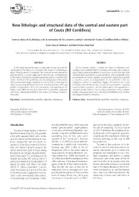 New Lithologic and Structural Data of the Central and Eastern Part of Ceuta (Rif Cordillera)