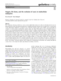Oxygen, Life Forms, and the Evolution of Sexes in Multicellular Eukaryotes